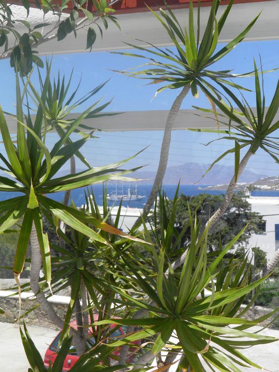 Anastasios Sevasti Hotel Mykonos Town Exterior photo